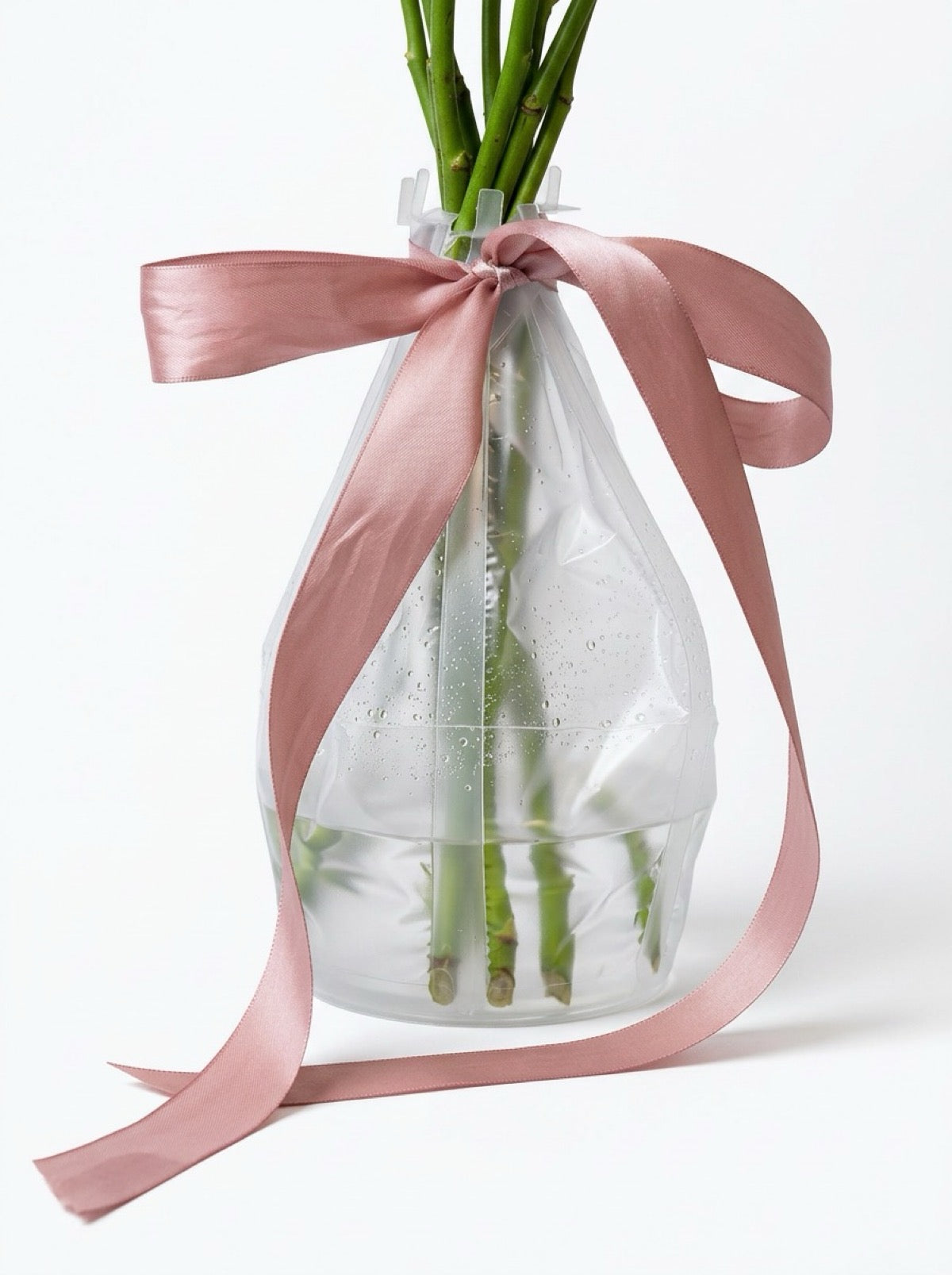 Aquabox cu apă și panglică satinată pentru păstrarea florilor proaspete în timpul serviciilor de livrare flori la domiciliu și surprize la domiciliu în Oradea
