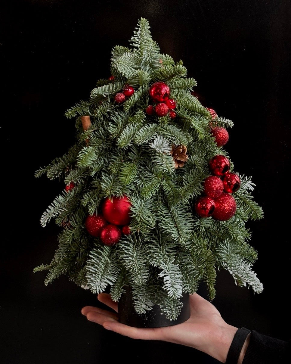 Brad nobilis decorat cu globuri roșii și conuri în cutie neagră florarie Oradea TRAVA Atelier Floral.