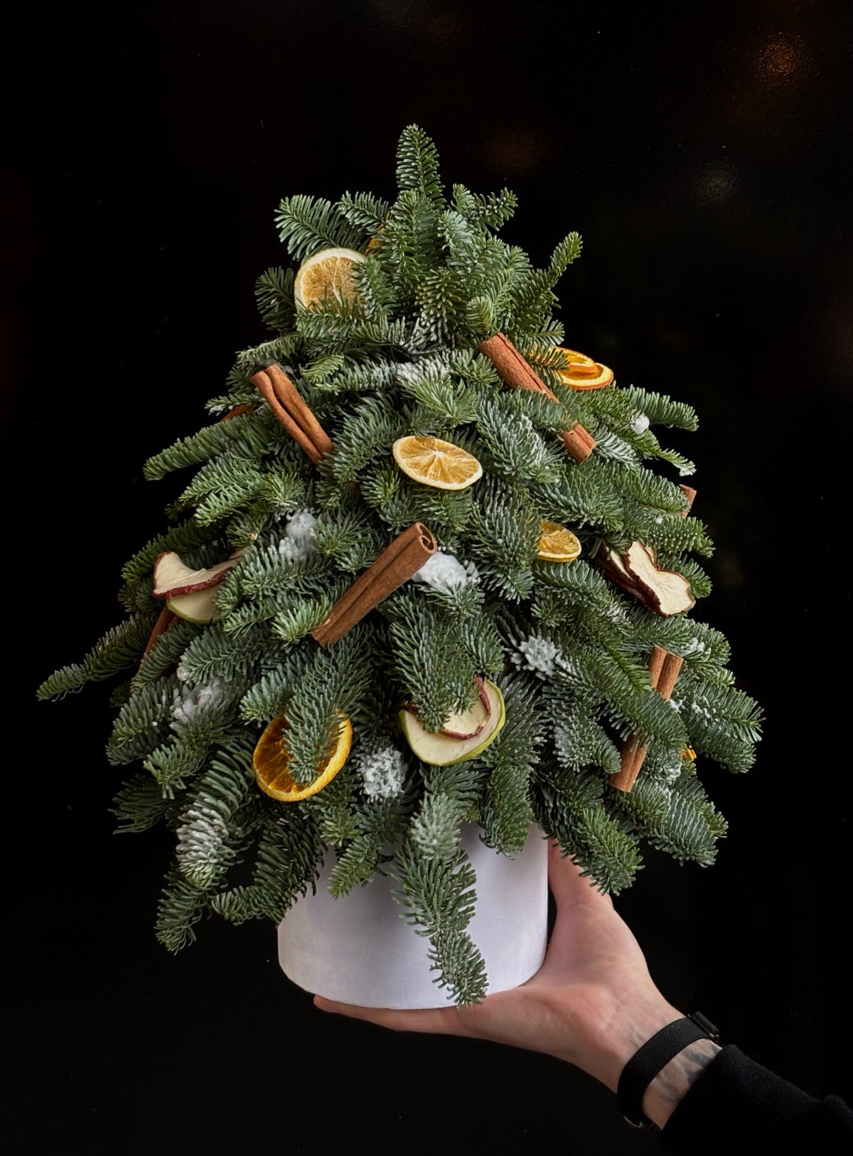 Brad nobilis decorat cu portocale deshidratate și scorțișoară în cutie albă de la floraria Oradea TRAVA Atelier Floral