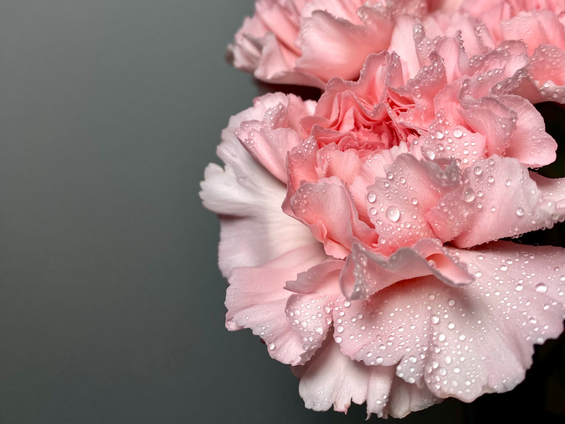 Ingrijirea Buchetului de Flori – 5 Sfaturi Esentiale