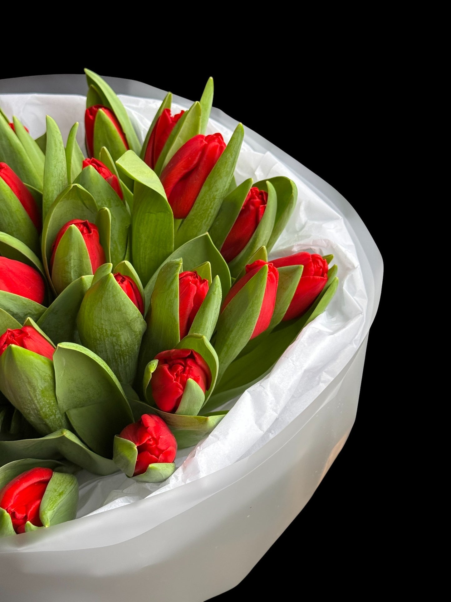 Lalele rosii in detaliu de la floraria oradea trava atelier floral.